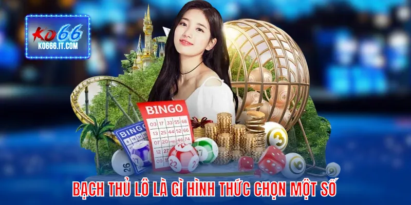 Bạch thủ lô là gì hình thức chọn một số