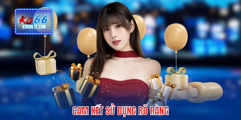 Cam kết sử dụng rõ ràng