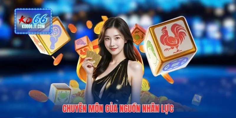 Chuyên môn của nguồn nhân lực