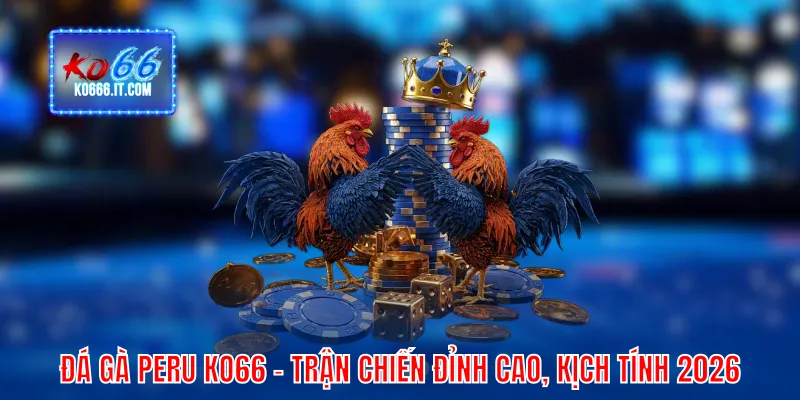 Đá gà Peru