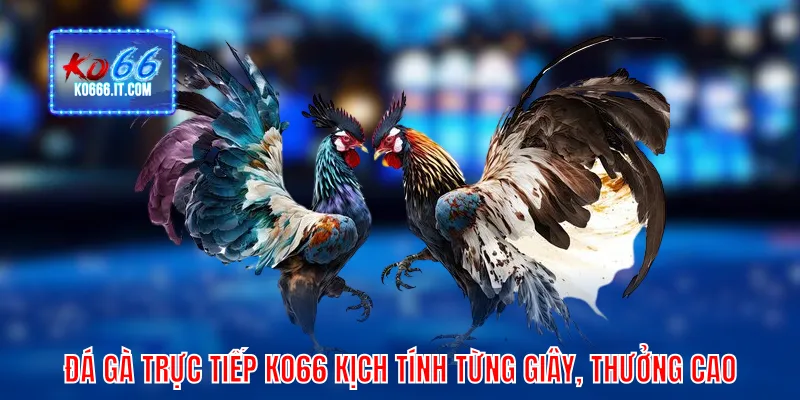 đá gà trực tiếp
