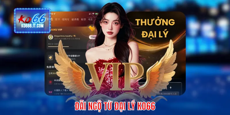 Đãi ngộ từ đại lý KO66