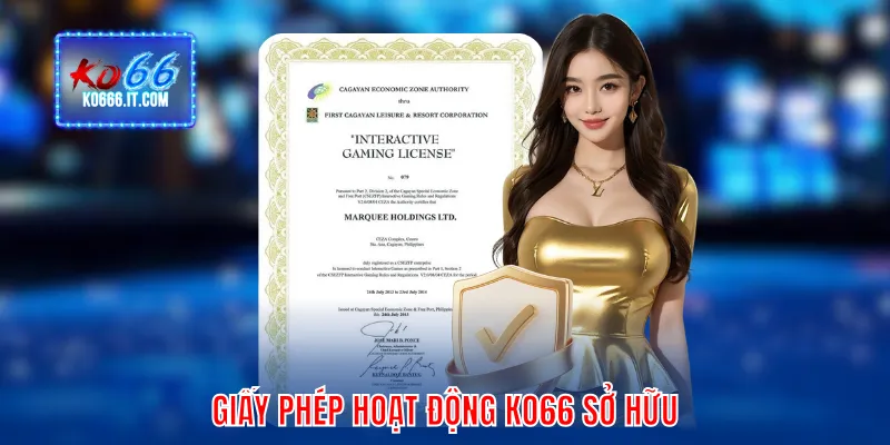 Giấy phép hoạt động KO66 sở hữu