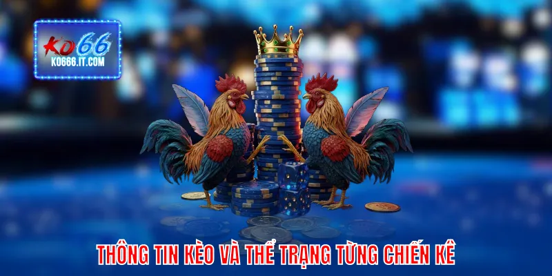 Thông tin kèo và thể trạng từng chiến kê